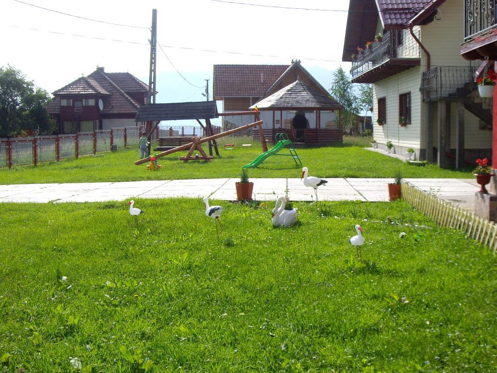 Hotel Garofita Pietrei Craiului Peştera Zewnętrze zdjęcie